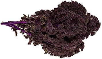 Vegetable Seeds,Garden seeds, Seeds For Planting,Plant Seeds