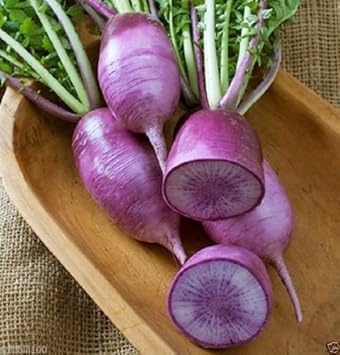 Vegetable Seeds,Garden seeds, Seeds For Planting,Plant Seeds