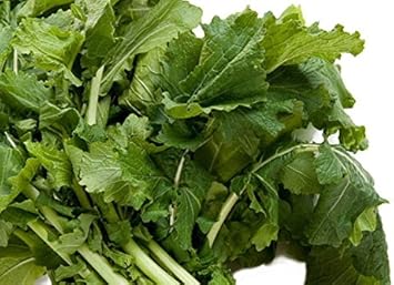 Vegetable Seeds,Garden seeds, Seeds For Planting,Plant Seeds