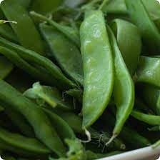 Vegetable Seeds,Garden seeds, Seeds For Planting,Plant Seeds