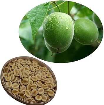 Fruit Seeds,Garden seeds, Seeds For Planting,Plant Seeds