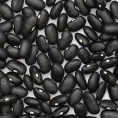 Vegetable Seeds,Garden seeds, Seeds For Planting,Plant Seeds