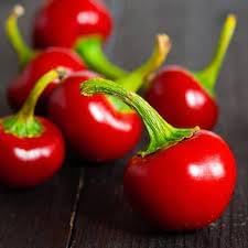Vegetable Seeds,Garden seeds, Seeds For Planting,Plant Seeds