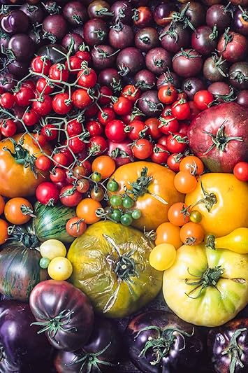 Vegetable Seeds,Garden seeds, Seeds For Planting,Plant Seeds