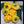 Vegetable Seeds,Garden seeds, Seeds For Planting,Plant Seeds