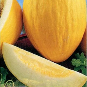 Fruit Seeds,Garden seeds, Seeds For Planting,Plant Seeds