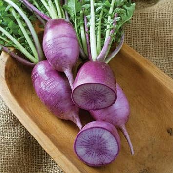 Vegetable Seeds,Garden seeds, Seeds For Planting,Plant Seeds