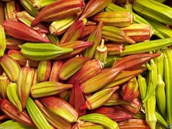Vegetable Seeds,Garden seeds, Seeds For Planting,Plant Seeds