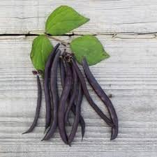 Vegetable Seeds,Garden seeds, Seeds For Planting,Plant Seeds