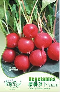 Vegetable Seeds,Garden seeds, Seeds For Planting,Plant Seeds