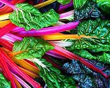 Vegetable Seeds,Garden seeds, Seeds For Planting,Plant Seeds