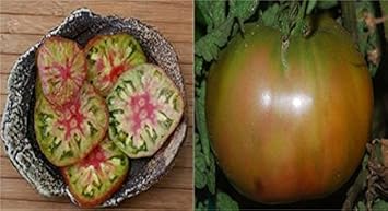 Vegetable Seeds,Garden seeds, Seeds For Planting,Plant Seeds