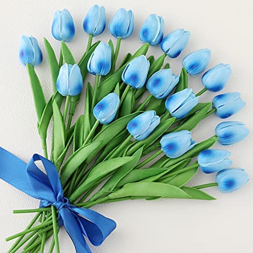 Sky Blue Tulip Flower Seeds for Planting – Heirloom, Non-GMO, Hardy High Germination Organic Garden Seeds