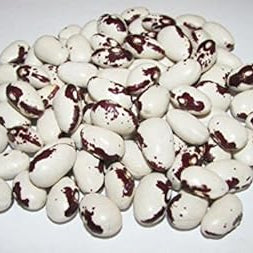 Vegetable Seeds,Garden seeds, Seeds For Planting,Plant Seeds