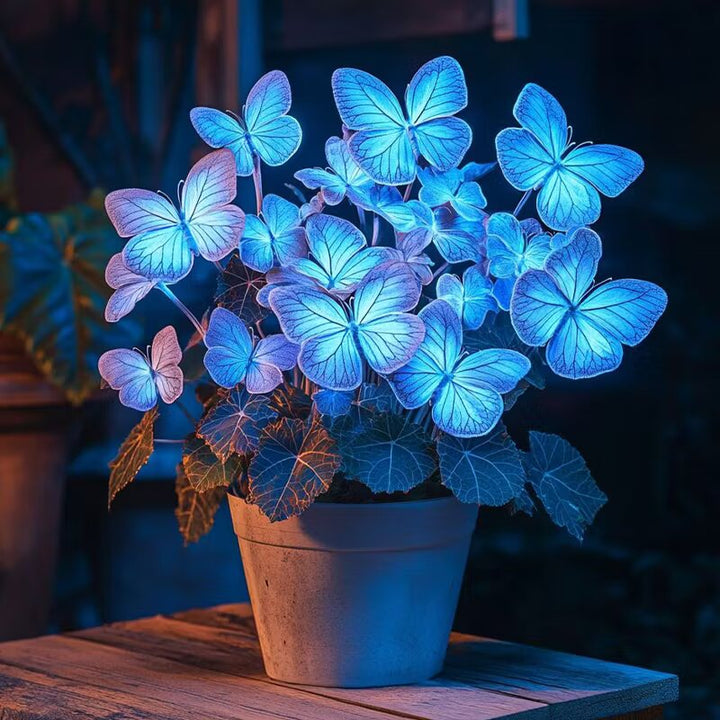 Grow Stunning Blue Neon Begonia Blooms with Butterfly-Like Charm