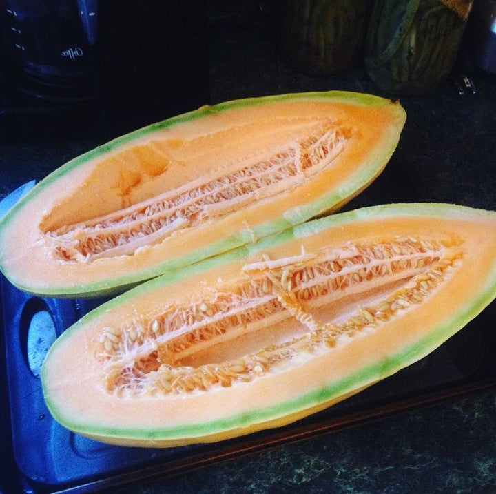 Gold Banana Melon fruit seeds for planting – Heirloom & Non-GMO garden seeds, exotic golden melon variety