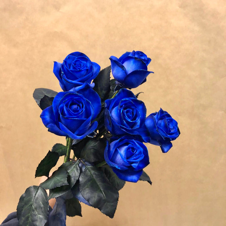 Blue Germany Rose Flower Seeds for Planting – Heirloom, Non-GMO, High Germination Organic Garden Seeds