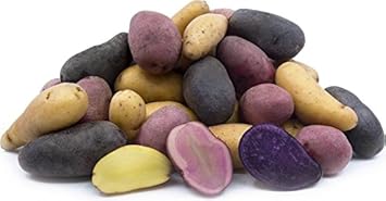 organic potato seeds for planting Mixed Potato Seeds for Planting – Heirloom Non-GMO Colorful Root Veget – Earthechoseeds