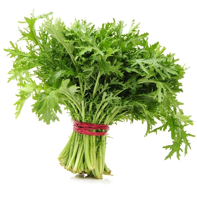 Mizuna Japanese Mustard Greens Seeds – Heirloom, Fast-Growing, Cold Hardy, Asian Leafy Vegetable
