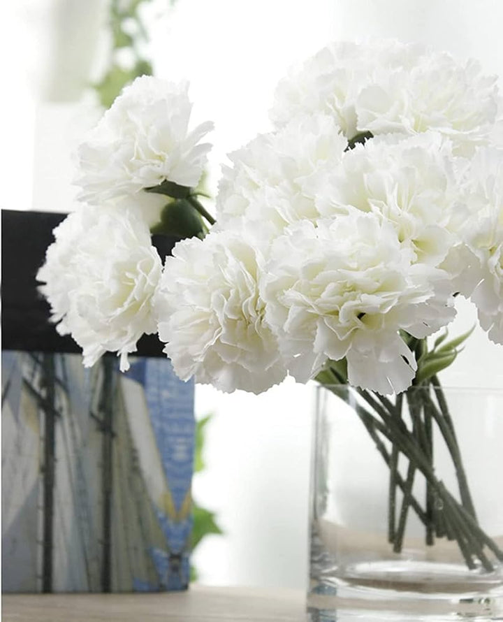 Carnation Flower Seeds for Planting White – Heirloom, Non-GMO, High Germination Organic Garden Seeds for Home Garden