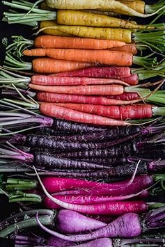 Vegetable Seeds,Garden seeds, Seeds For Planting,Plant Seeds