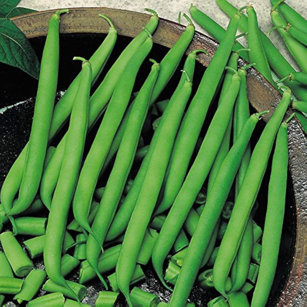 Green Bean Vegetable Seeds for Planting – Heirloom & Non-GMO Garden Seeds