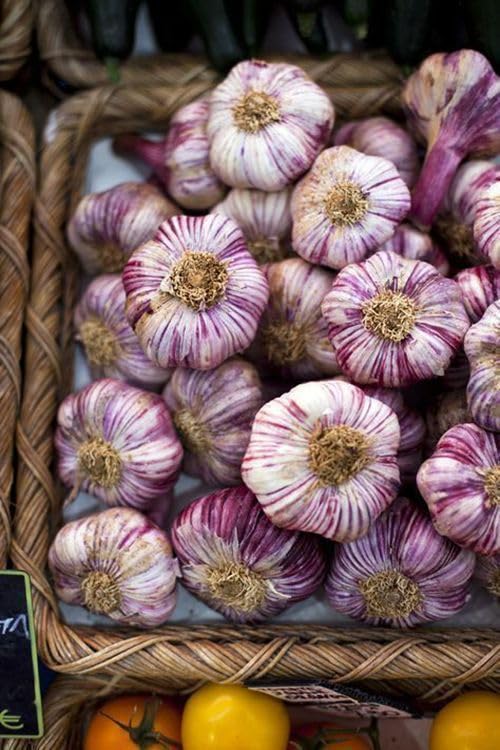 Purple Garlic Seeds for Planting – Heirloom Non‑GMO High Germination Organic Garden Seeds for Culinary Use