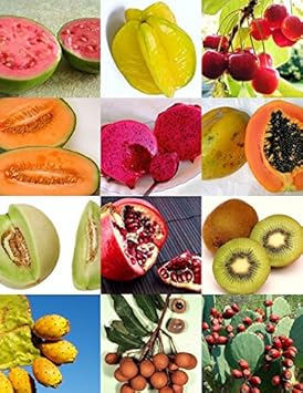 Fruit Seeds,Garden seeds, Seeds For Planting,Plant Seeds