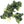 Vegetable Seeds,Garden seeds, Seeds For Planting,Plant Seeds
