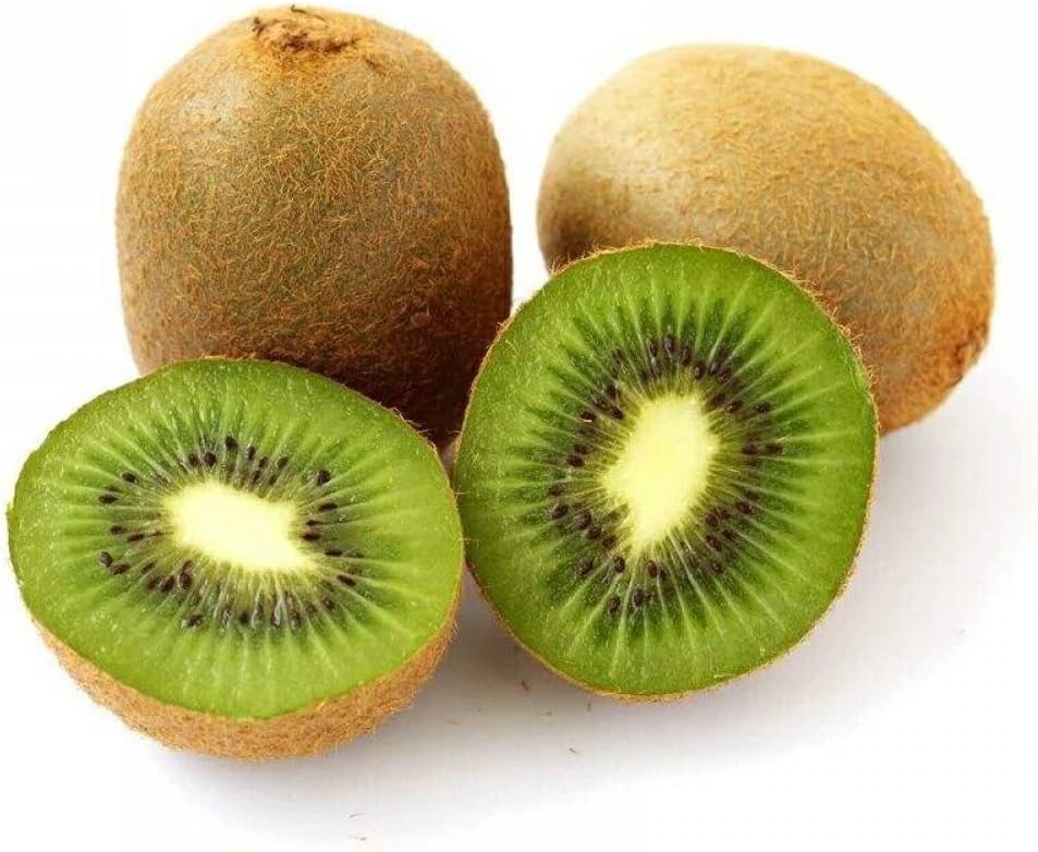 Actinidia Polygama seeds for planting - Heirloom & Non-GMO hardy kiwi fruit garden seeds