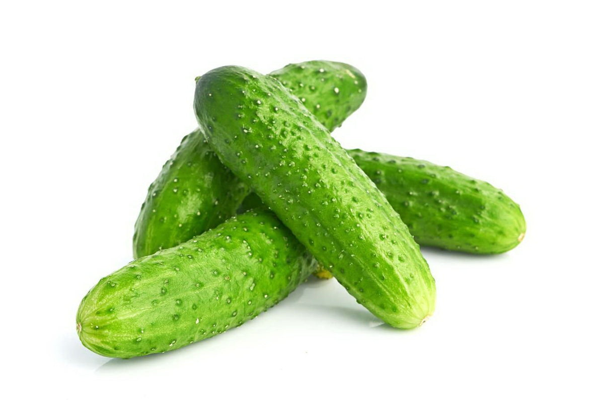 Lyalyuk Mini Pickling Cucumber Seeds – Heirloom Non-GMO Crisp Vegetable Garden Seeds for Planting
