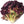 Vegetable Seeds,Garden seeds, Seeds For Planting,Plant Seeds