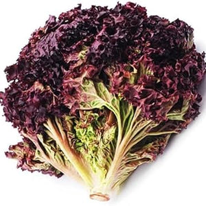 Vegetable Seeds,Garden seeds, Seeds For Planting,Plant Seeds