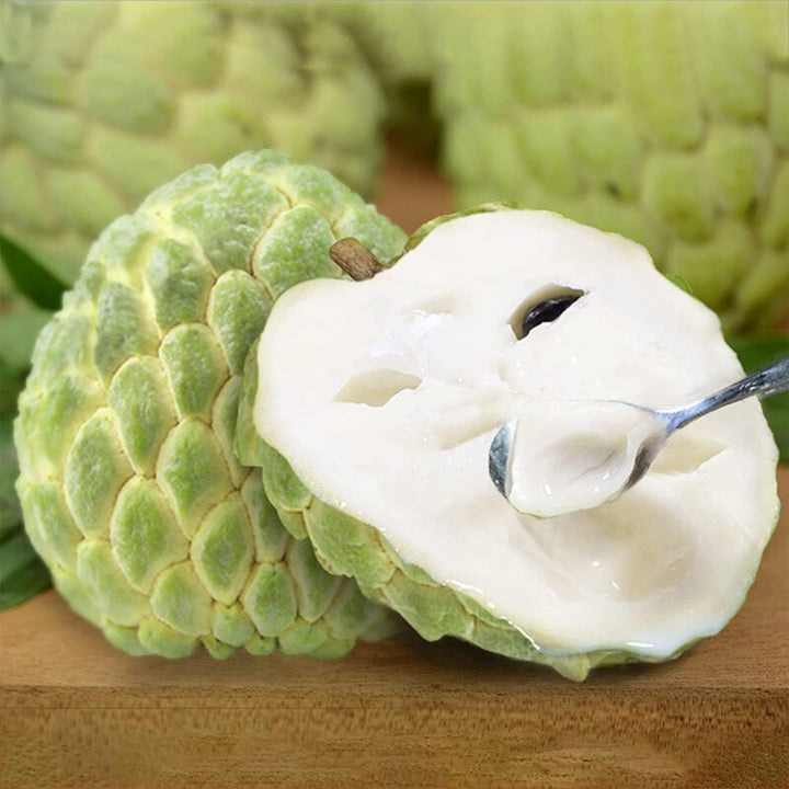 Custard Apple Fruit Seeds – Heirloom, Non-GMO Seeds for Exotic Orchard Tree Planting