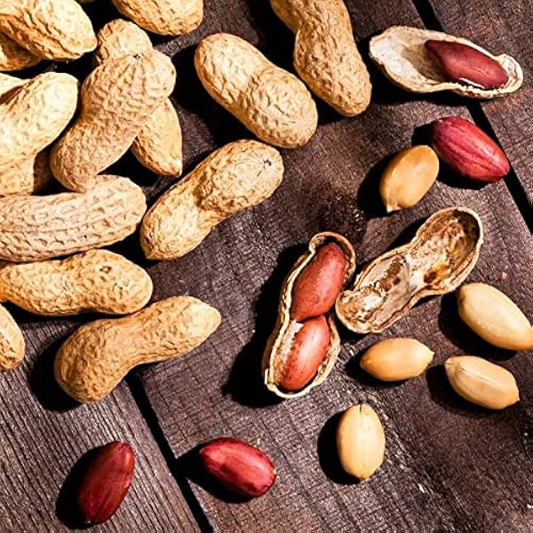 Spanish Peanut Seeds for Planting – Heirloom Non-GMO Nutty Vegetable Seeds with High Germination for Organic Garden Growing
