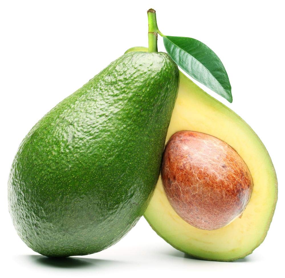 Persea Americana Avocado fruit seeds for planting - Heirloom & Non-GMO Garden seeds