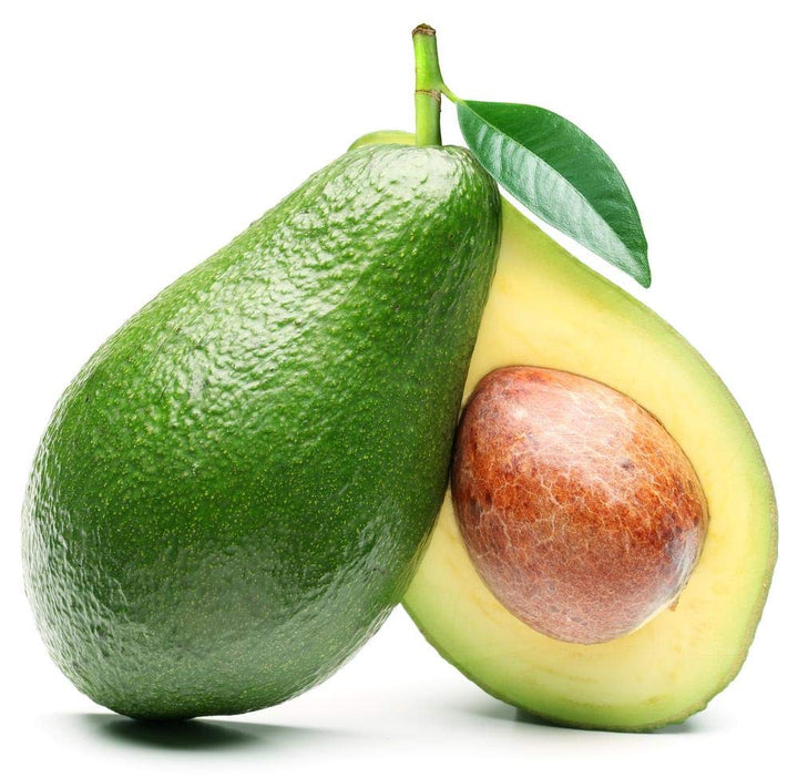 Persea Americana Avocado fruit seeds for planting - Heirloom & Non-GMO Garden seeds