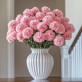 Light Pink Carnations Flower Seeds for Planting Heirloom Non-GMO High Germination Organic Garden Seeds