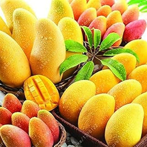 Fruit Seeds,Garden seeds, Seeds For Planting,Plant Seeds