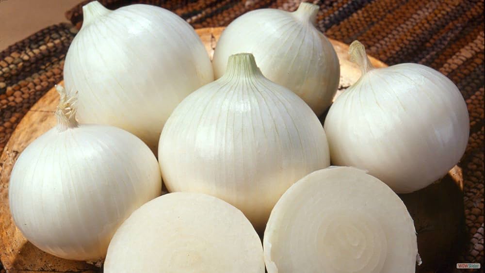 White Onion Seeds for Planting – Heirloom Non-GMO Organic Garden Seeds with High Germination for Crisp, High-Yield Harvests