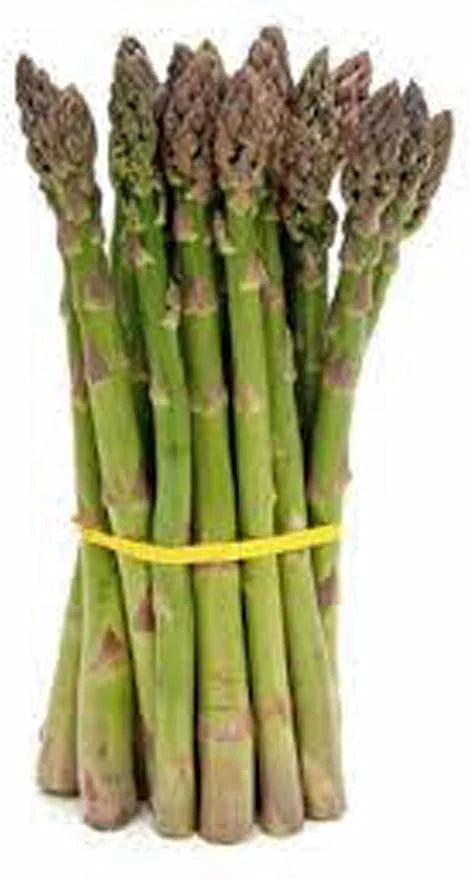 Asparagus Mary Washington Seeds – Heirloom, High Yield, Non-GMO Vegetable Seeds for Home Garden