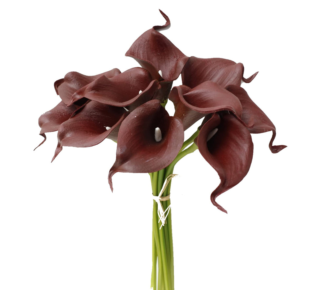 Brown Calla Flower Seeds for Planting – Heirloom Non-GMO High Germination Organic Garden Seeds