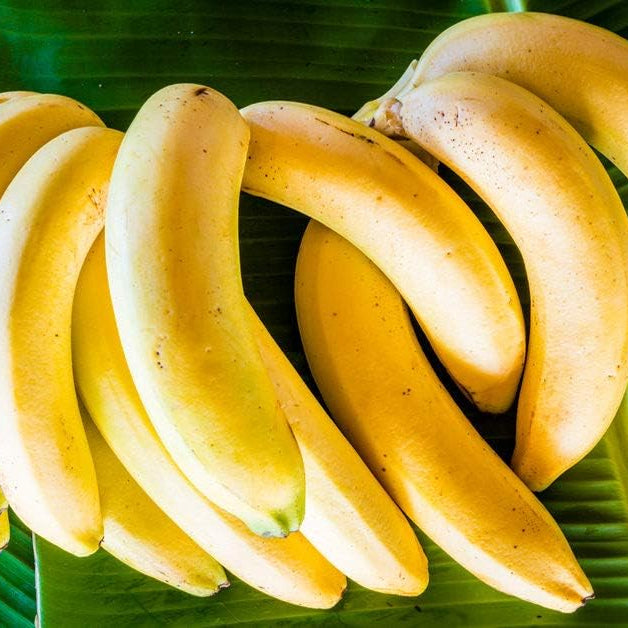 Fruit Seeds,Garden seeds, Seeds For Planting,Plant Seeds