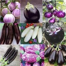 Vegetable Seeds,Garden seeds, Seeds For Planting,Plant Seeds