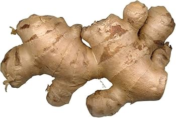 Paquete Vegetable Seeds for Planting – Heirloom & Non-GMO Latin American Vegetable Seeds
