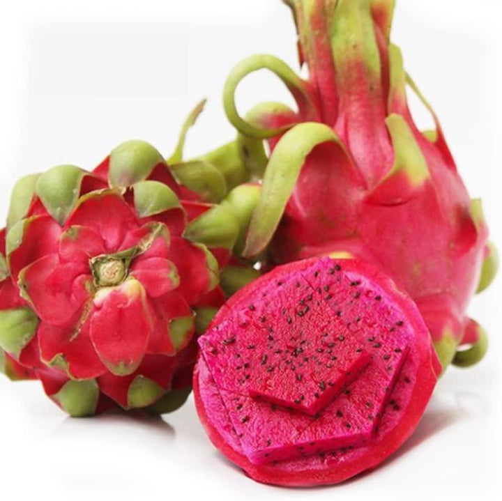 Red Dragon Fruit Seeds for Planting – Heirloom, Non-GMO Vibrant Exotic Tropical Garden Fruit Seeds