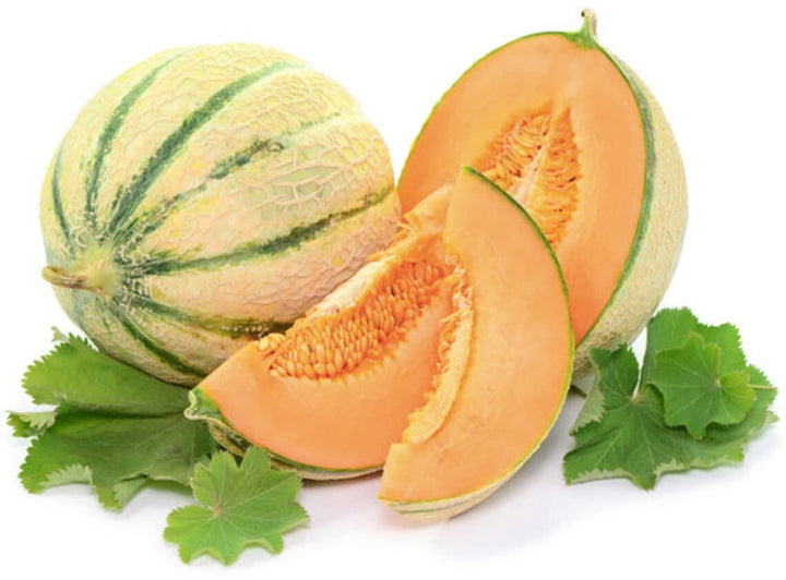 Charentais Cantaloupe Melon Seeds – Heirloom Netted Musk Melon with Sweet Orange Flesh for Home Garden Planting