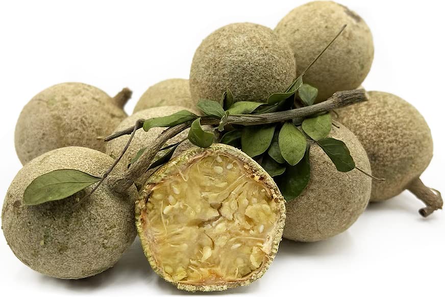 Wood Apple Fruit Seeds for Planting – Heirloom Non-GMO High Germination Organic Garden Seeds