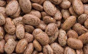 Vegetable Seeds,Garden seeds, Seeds For Planting,Plant Seeds