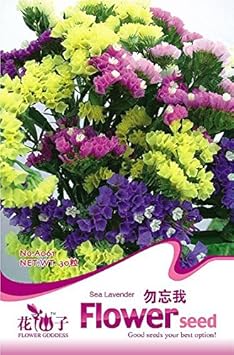 Flower Seeds, Seeds,Seeds For Planting,Plant Seeds